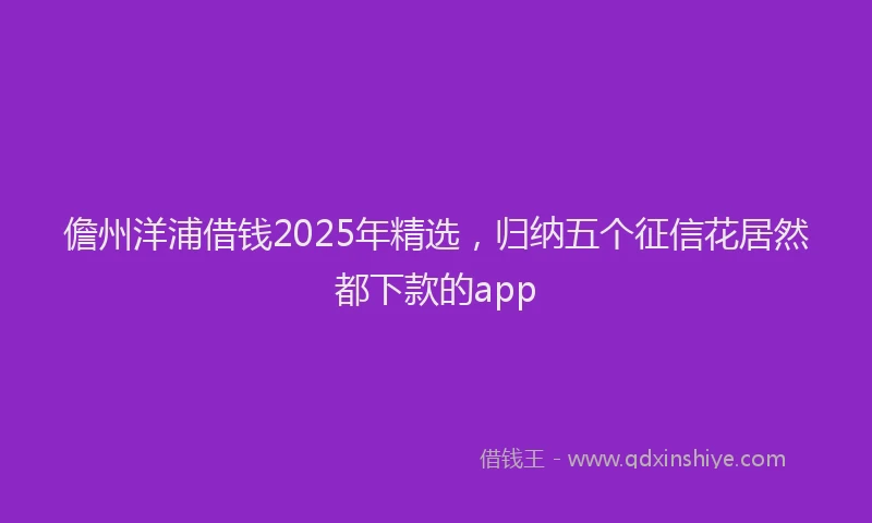 儋州洋浦借钱2025年精选，归纳五个征信花居然都下款的app