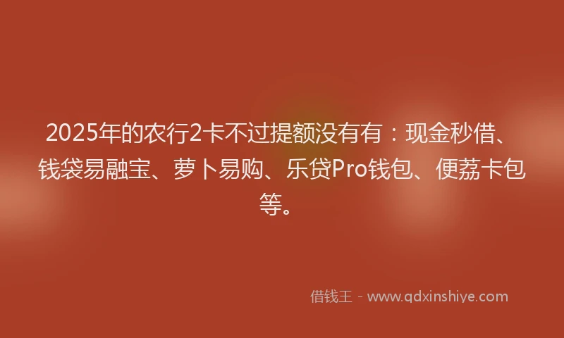 2025年的农行2卡不过提额没有有：现金秒借、钱袋易融宝、萝卜易购、乐贷Pro钱包、便荔卡包等。