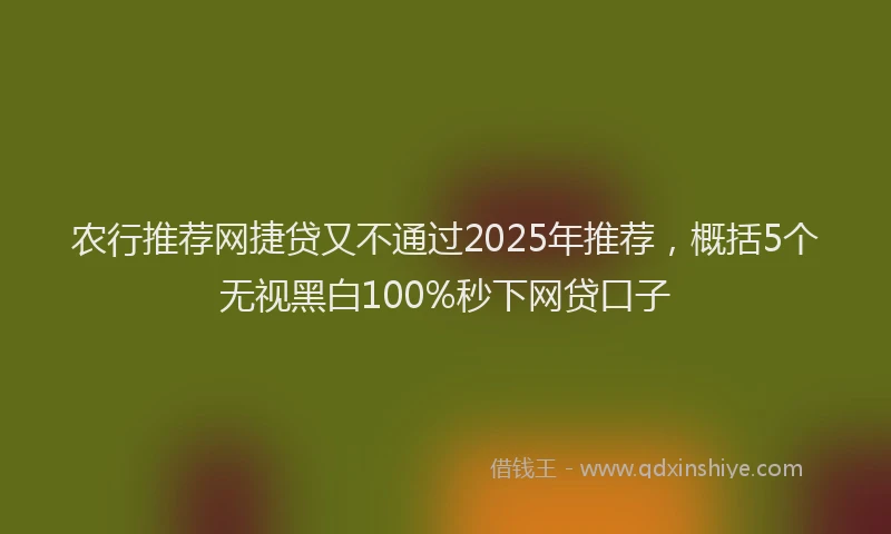 农行推荐网捷贷又不通过2025年推荐，概括5个无视黑白100%秒下网贷口子