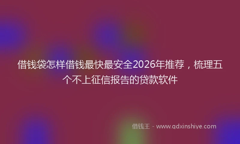 借钱袋怎样借钱最快最安全2026年推荐，梳理五个不上征信报告的贷款软件