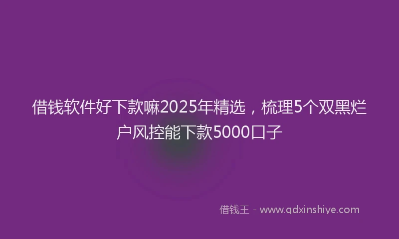 借钱软件好下款嘛2025年精选，梳理5个双黑烂户风控能下款5000口子
