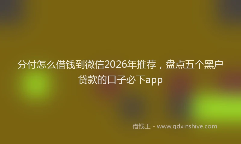 分付怎么借钱到微信2026年推荐，盘点五个黑户贷款的口子必下app