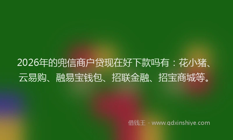 2026年的兜信商户贷现在好下款吗有：花小猪、云易购、融易宝钱包、招联金融、招宝商城等。