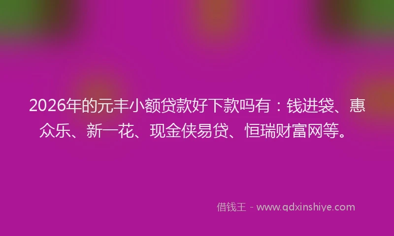 2026年的元丰小额贷款好下款吗有：钱进袋、惠众乐、新一花、现金侠易贷、恒瑞财富网等。