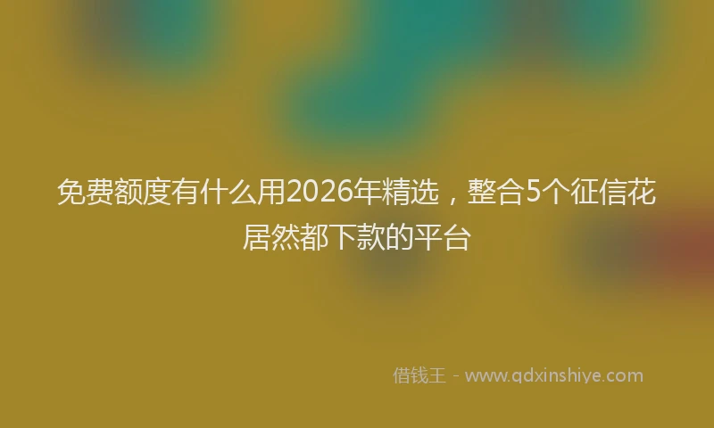 免费额度有什么用2026年精选，整合5个征信花居然都下款的平台