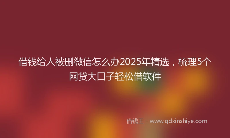 借钱给人被删微信怎么办2025年精选，梳理5个网贷大口子轻松借软件