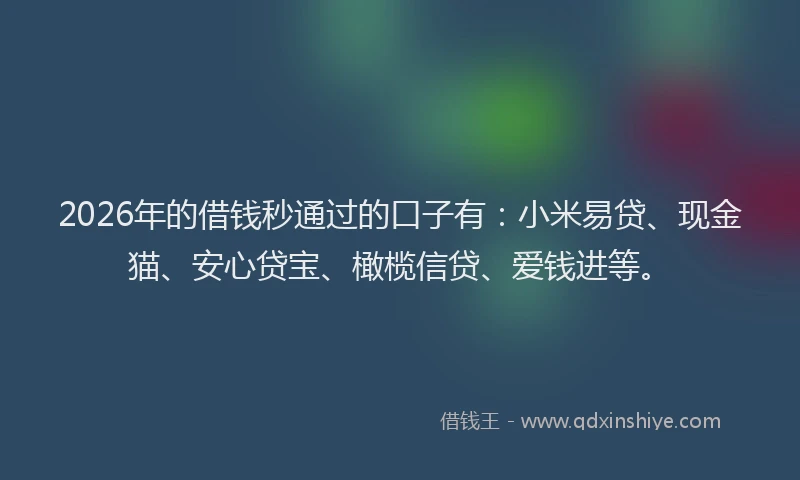 2026年的借钱秒通过的口子有:小米易贷、现金猫、安心贷宝、橄榄信贷、爱钱进等。