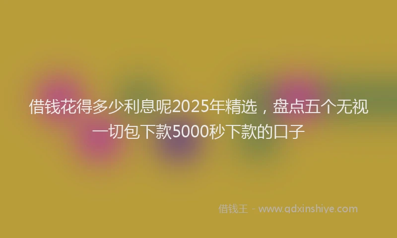 借钱花得多少利息呢2025年精选,盘点五个无视一切包下款5000秒下款的口子