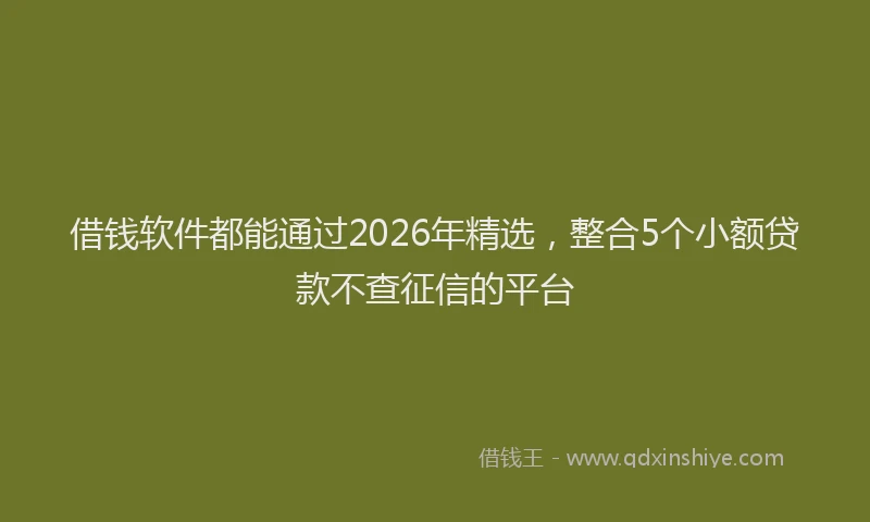借钱软件都能通过2026年精选，整合5个小额贷款不查征信的平台