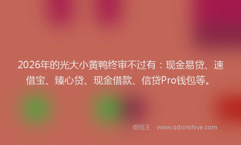 2026年的光大小黄鸭终审不过有：现金易贷、速借宝、臻心贷、现金借款、信贷Pro钱包等。