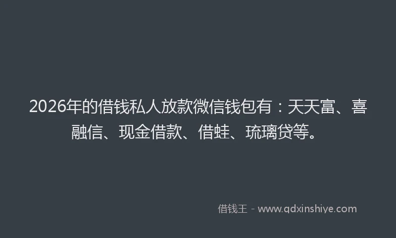 2026年的借钱私人放款微信钱包有:天天富、喜融信、现金借款、借蛙、琉璃贷等。