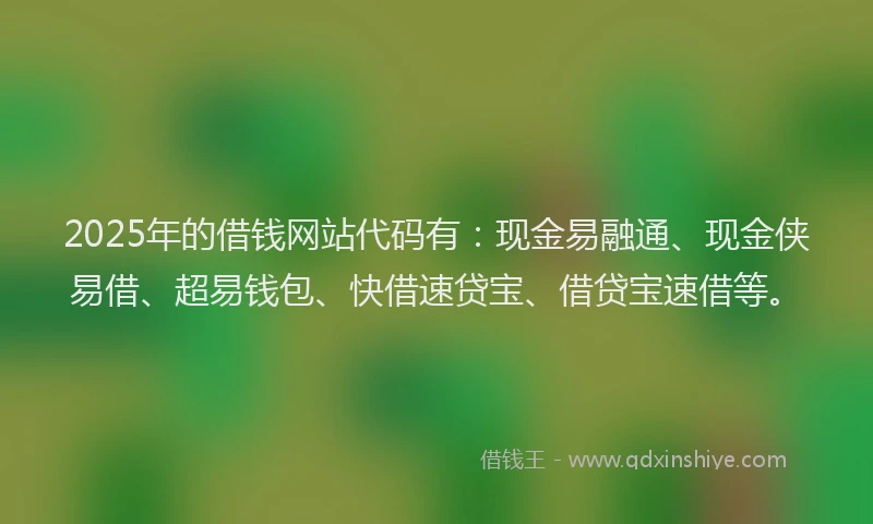 2025年的借钱网站代码有：现金易融通、现金侠易借、超易钱包、快借速贷宝、借贷宝速借等。