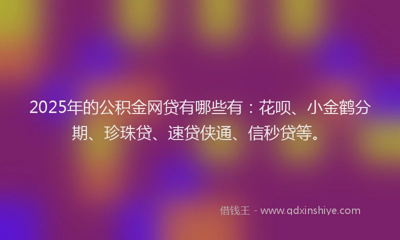 2025年的公积金网贷有哪些有：花呗、小金鹤分期、珍珠贷、速贷侠通、信秒贷等。