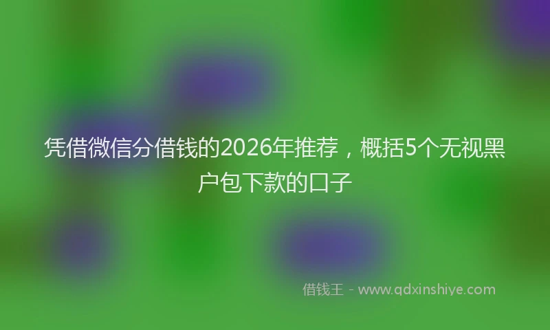 凭借微信分借钱的2026年推荐，概括5个无视黑户包下款的口子