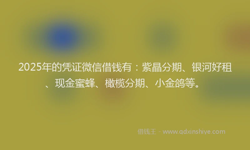 2025年的凭证微信借钱有：紫晶分期、银河好租、现金蜜蜂、橄榄分期、小金鸽等。