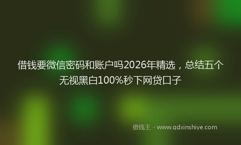 借钱要微信密码和账户吗2026年精选，总结五个无视黑白100%秒下网贷口子
