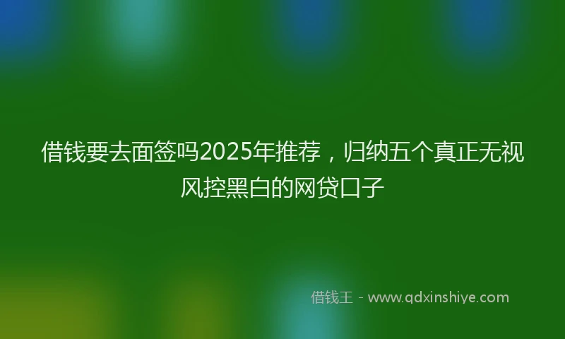 借钱要去面签吗2025年推荐,归纳五个真正无视风控黑白的网贷口子