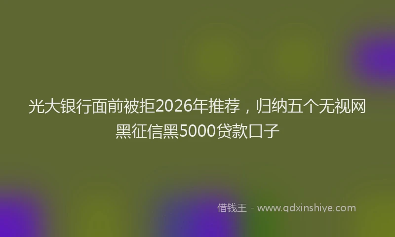 光大银行面前被拒2026年推荐，归纳五个无视网黑征信黑5000贷款口子