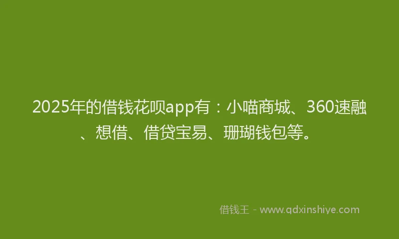 2025年的借钱花呗app有：小喵商城、360速融、想借、借贷宝易、珊瑚钱包等。
