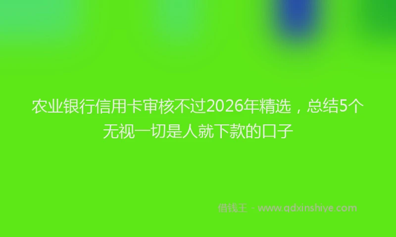 农业银行信用卡审核不过2026年精选，总结5个无视一切是人就下款的口子