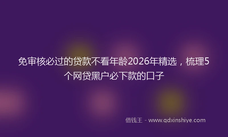 免审核必过的贷款不看年龄2026年精选，梳理5个网贷黑户必下款的口子