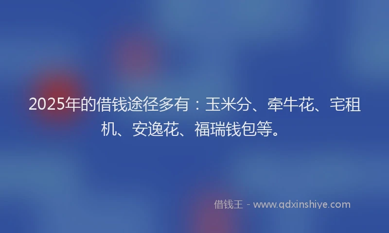 2025年的借钱途径多有:玉米分、牵牛花、宅租机、安逸花、福瑞钱包等。