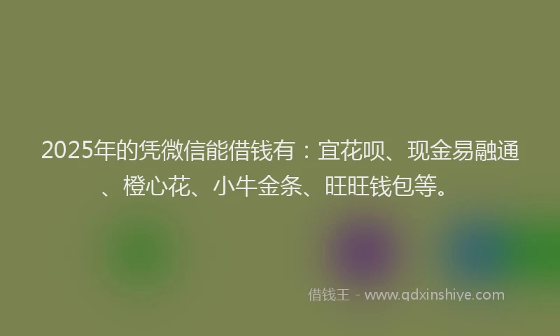 2025年的凭微信能借钱有：宜花呗、现金易融通、橙心花、小牛金条、旺旺钱包等。