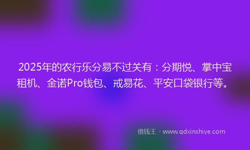 2025年的农行乐分易不过关有:分期悦、掌中宝租机、金诺Pro钱包、戒易花、平安口袋银行等。