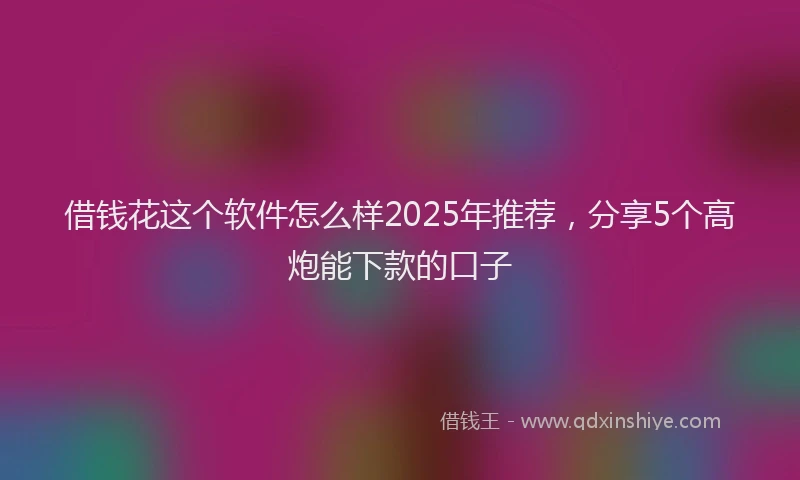 借钱花这个软件怎么样2025年推荐，分享5个高炮能下款的口子