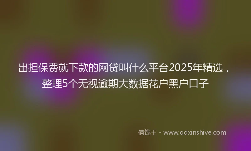 出担保费就下款的网贷叫什么平台2025年精选，整理5个无视逾期大数据花户黑户口子