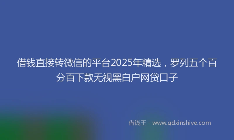 借钱直接转微信的平台2025年精选，罗列五个百分百下款无视黑白户网贷口子