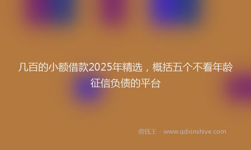 几百的小额借款2025年精选,概括五个不看年龄征信负债的平台