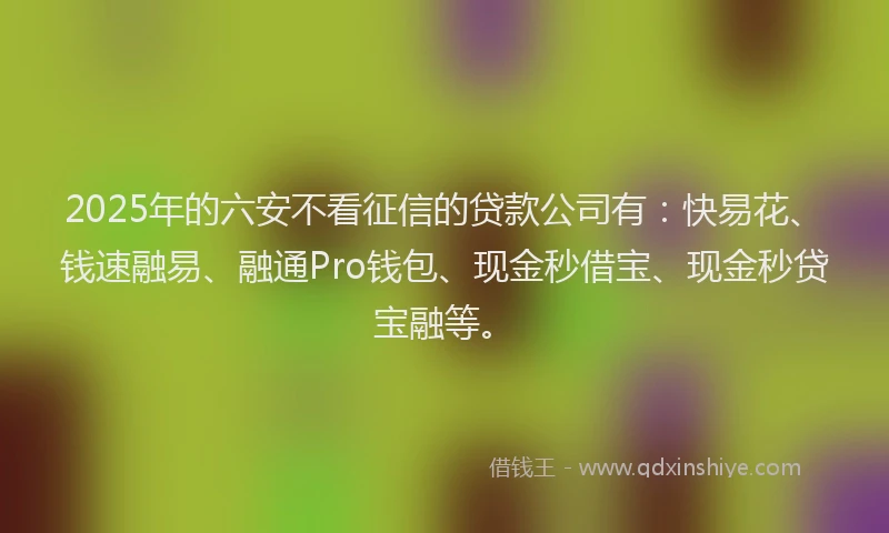 2025年的六安不看征信的贷款公司有：快易花、钱速融易、融通Pro钱包、现金秒借宝、现金秒贷宝融等。