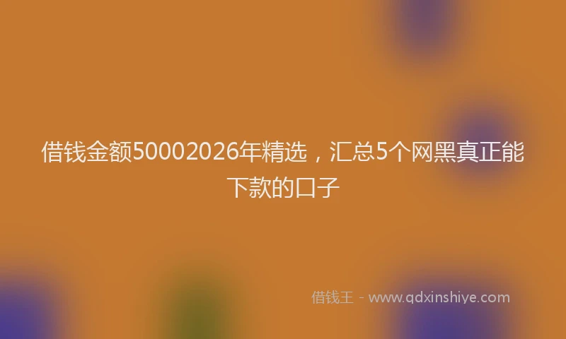 借钱金额50002026年精选，汇总5个网黑真正能下款的口子