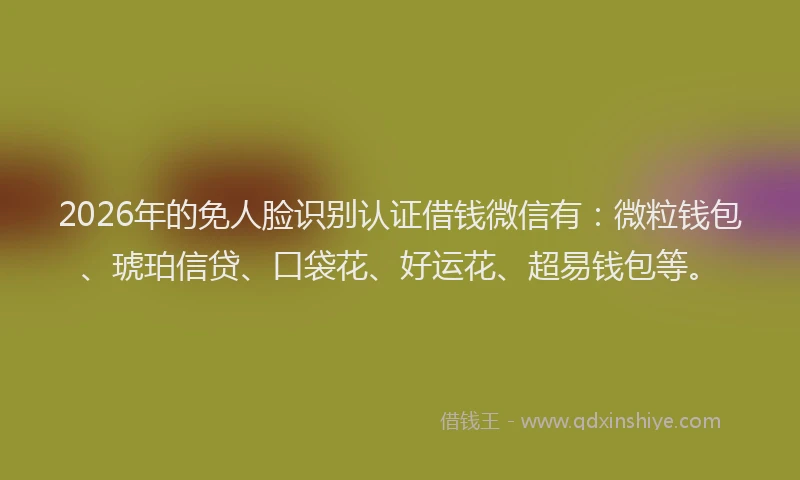 2026年的免人脸识别认证借钱微信有：微粒钱包、琥珀信贷、口袋花、好运花、超易钱包等。