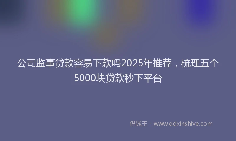 公司监事贷款容易下款吗2025年推荐，梳理五个5000块贷款秒下平台