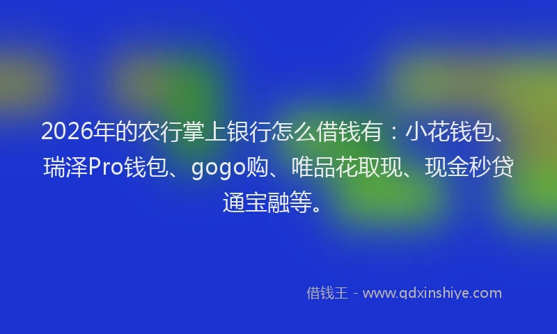 2026年的农行掌上银行怎么借钱有：小花钱包、瑞泽Pro钱包、gogo购、唯品花取现、现金秒贷通宝融等。