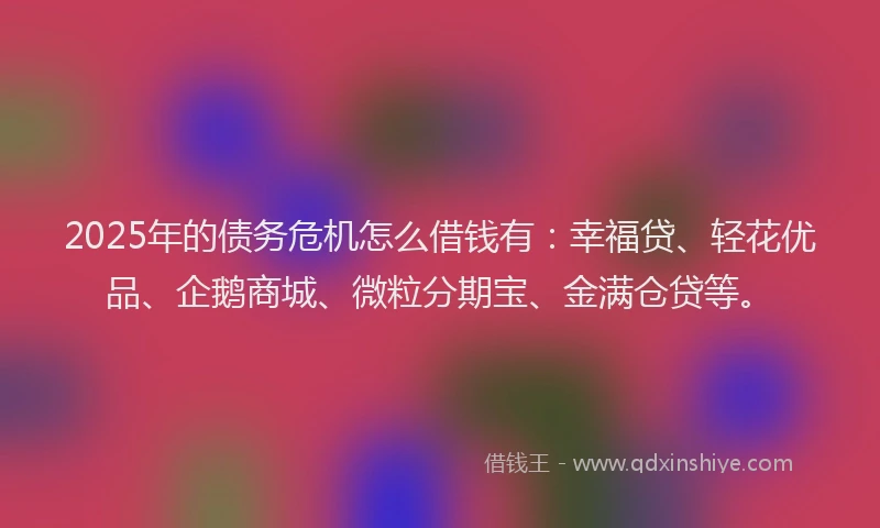 2025年的债务危机怎么借钱有：幸福贷、轻花优品、企鹅商城、微粒分期宝、金满仓贷等。