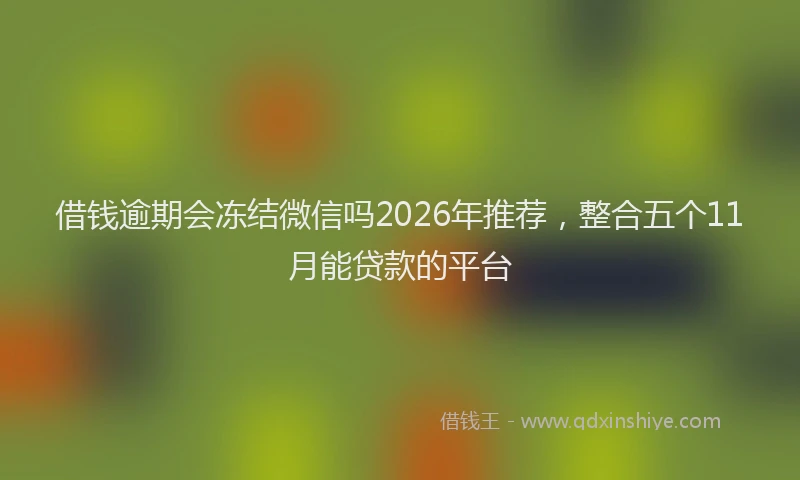 借钱逾期会冻结微信吗2026年推荐，整合五个11月能贷款的平台