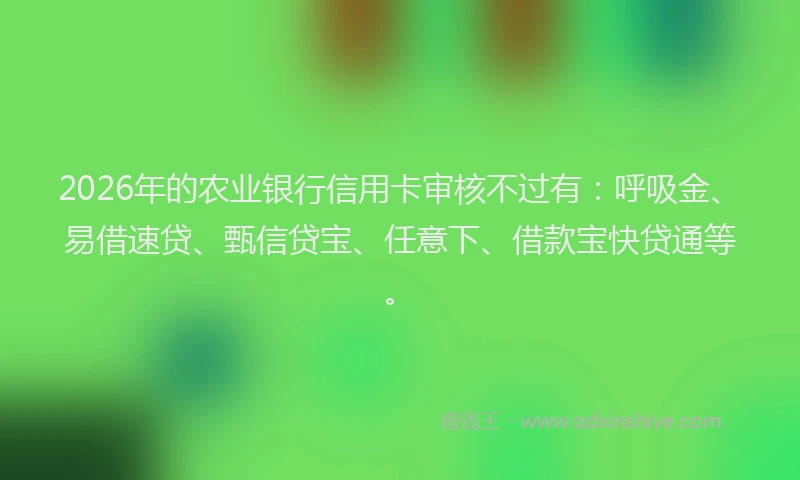2026年的农业银行信用卡审核不过有:呼吸金、易借速贷、甄信贷宝、任意下、借款宝快贷通等。
