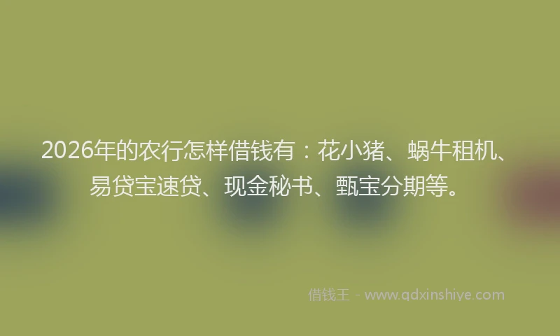 2026年的农行怎样借钱有：花小猪、蜗牛租机、易贷宝速贷、现金秘书、甄宝分期等。