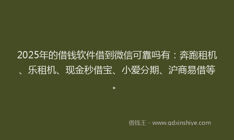 2025年的借钱软件借到微信可靠吗有：奔跑租机、乐租机、现金秒借宝、小爱分期、沪商易借等。