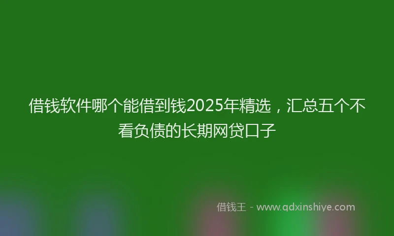 借钱软件哪个能借到钱2025年精选，汇总五个不看负债的长期网贷口子