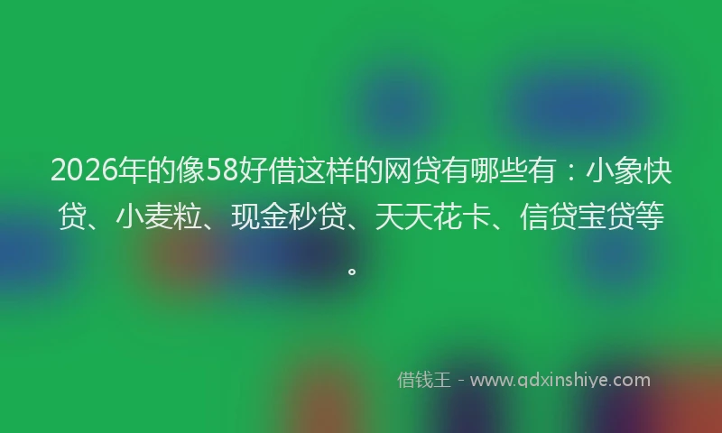 2026年的像58好借这样的网贷有哪些有：小象快贷、小麦粒、现金秒贷、天天花卡、信贷宝贷等。