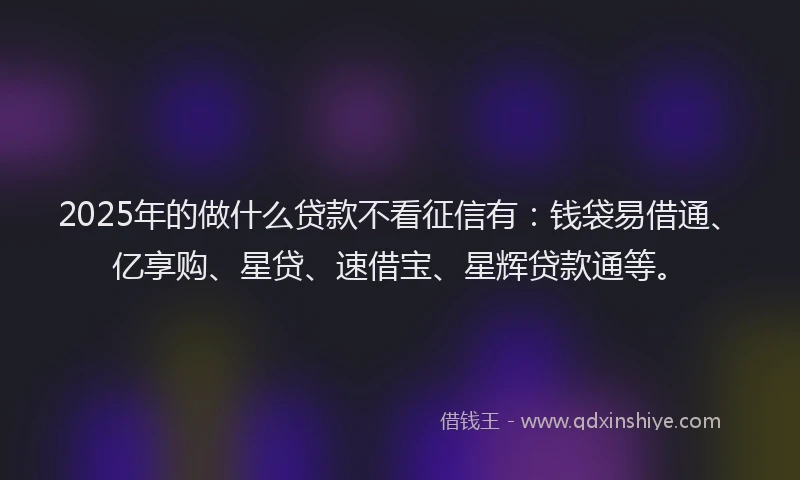 2025年的做什么贷款不看征信有：钱袋易借通、亿享购、星贷、速借宝、星辉贷款通等。