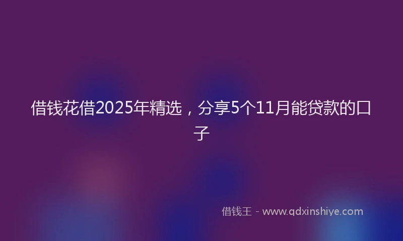借钱花借2025年精选，分享5个11月能贷款的口子