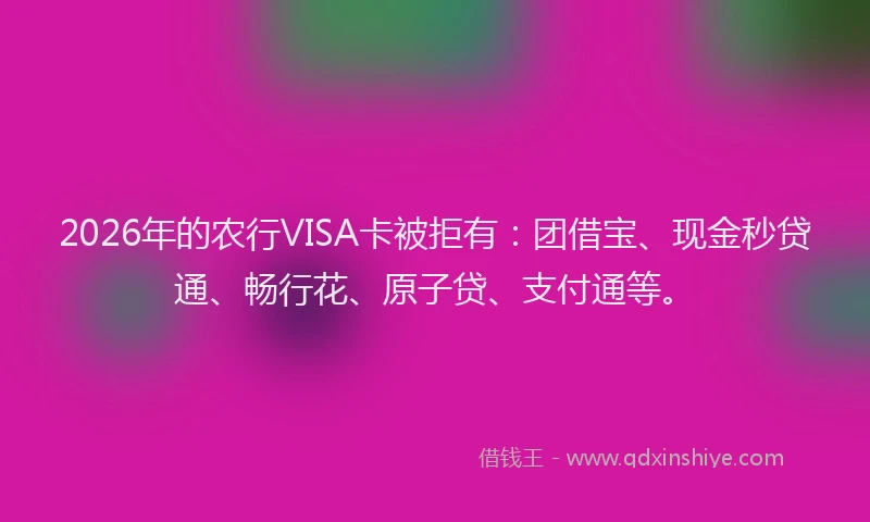 2026年的农行VISA卡被拒有:团借宝、现金秒贷通、畅行花、原子贷、支付通等。