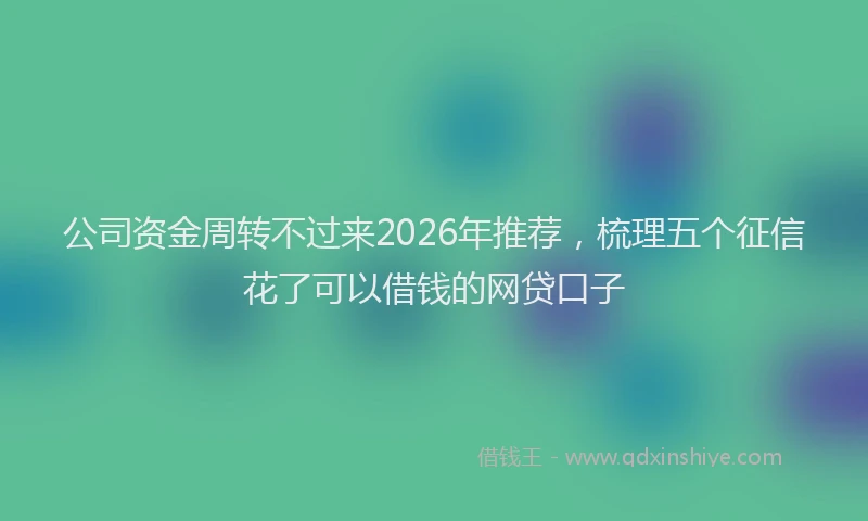 公司资金周转不过来2026年推荐，梳理五个征信花了可以借钱的网贷口子
