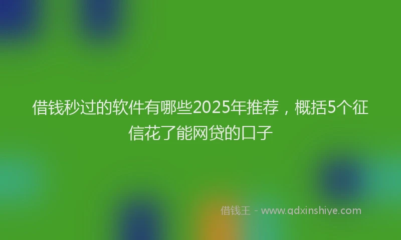 借钱秒过的软件有哪些2025年推荐，概括5个征信花了能网贷的口子