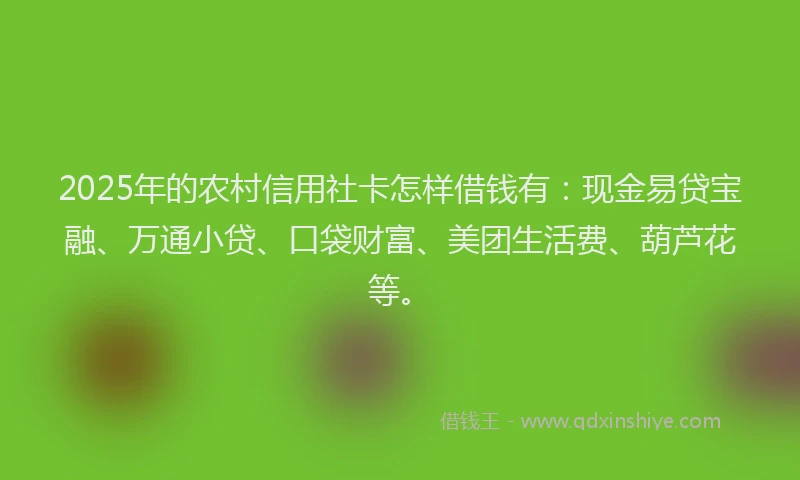 2025年的农村信用社卡怎样借钱有：现金易贷宝融、万通小贷、口袋财富、美团生活费、葫芦花等。